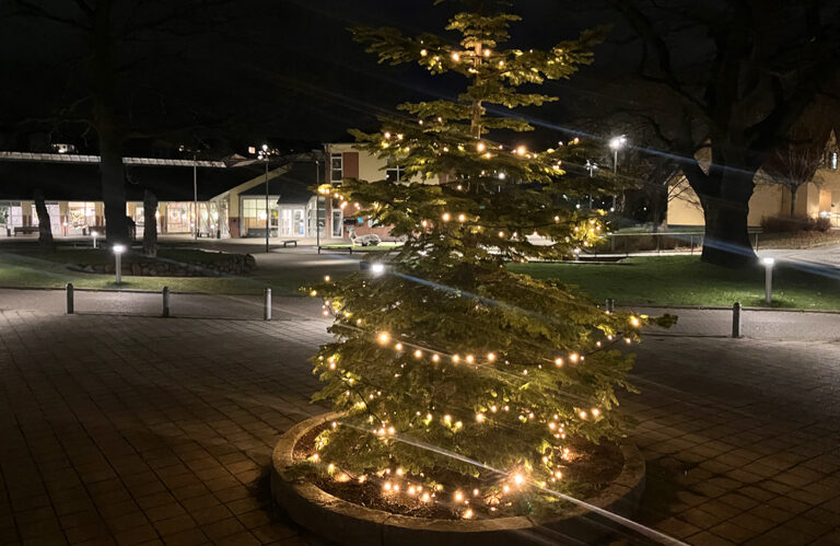 26.11.25 | Juletræet tændes